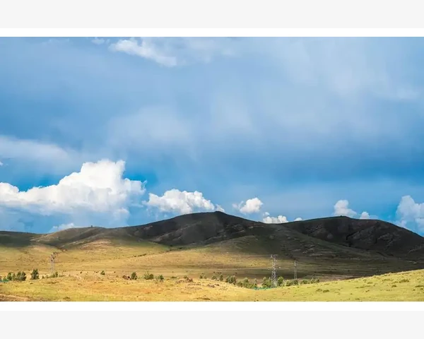 中医特色疗法：脾胃寒湿拔罐，舒缓不适，提升健康